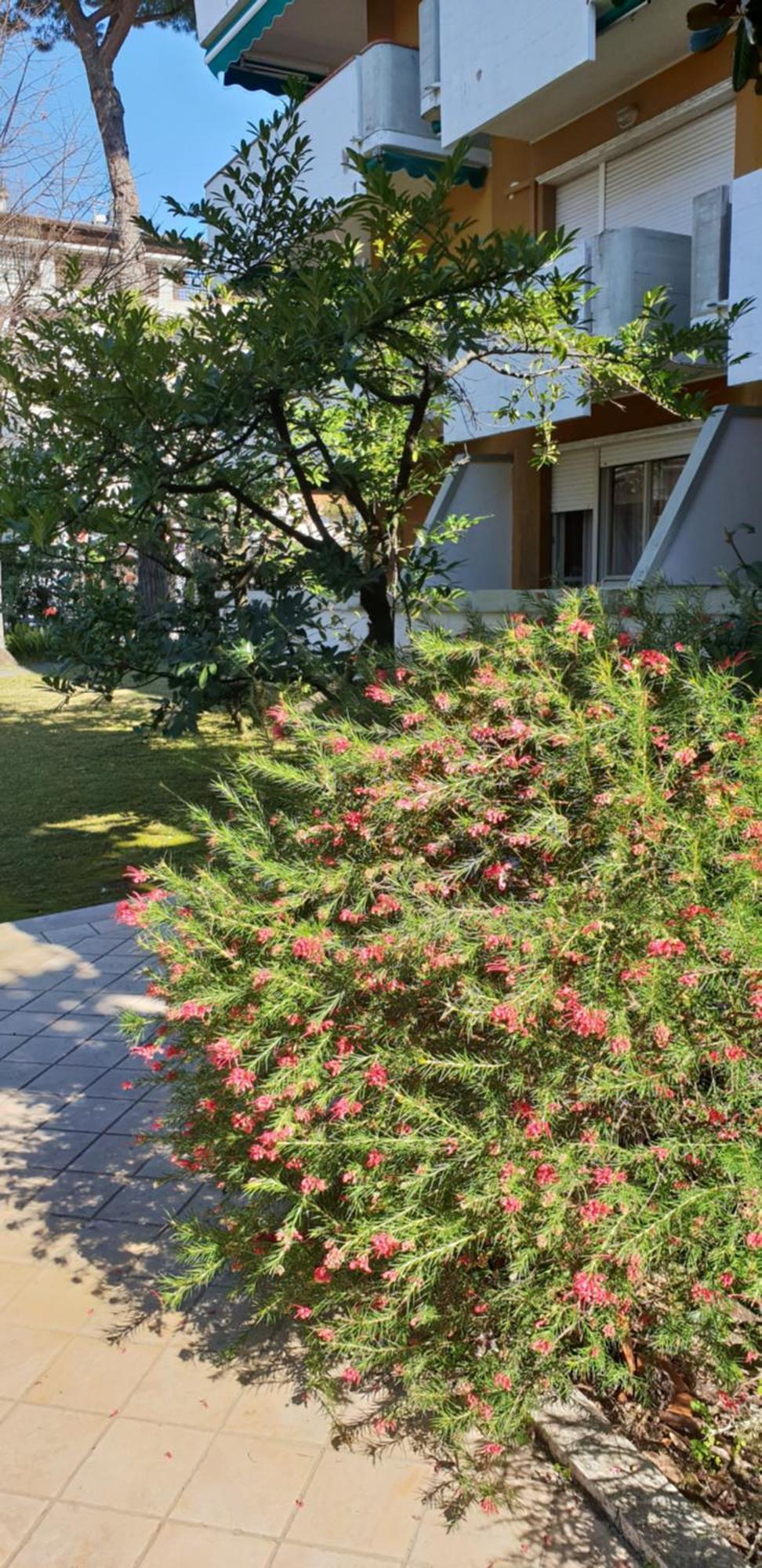 Versilia Apartment Forte dei Marmi Exteriér fotografie